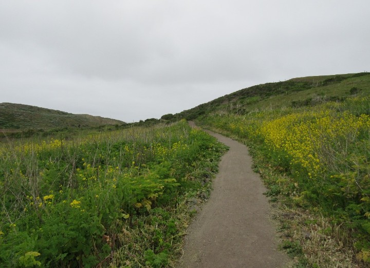 Point Reyes National Seashore